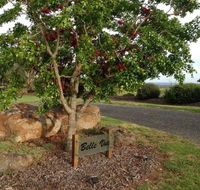 Belle Vue Studio - Goulburn Accommodation