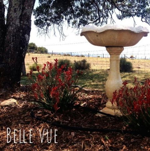 Belle Vue Studio - Goulburn Accommodation 1
