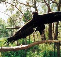 Curlew Hill Sanctuary - Goulburn Accommodation