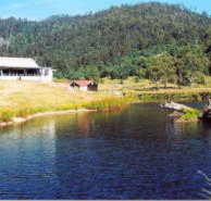 Millybrook Lodge - Goulburn Accommodation