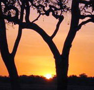 Coodardie Station Stay - Goulburn Accommodation