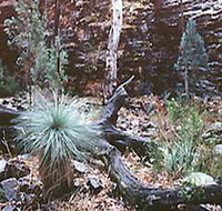 Alligator Lodge - Goulburn Accommodation