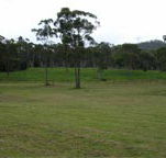 Mt White Lodge - Goulburn Accommodation