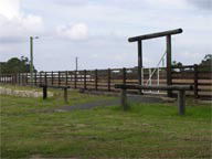 Mt White Lodge - Goulburn Accommodation 2