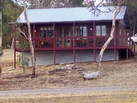Ivybrook Vineyard Cottage - Goulburn Accommodation 0