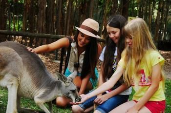 Pacific Horizons Resort - Goulburn Accommodation 23
