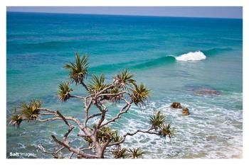 Pacific Horizons Resort - Goulburn Accommodation 24