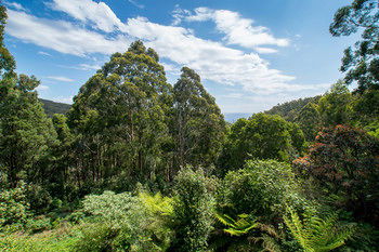 A Camelot Tower & Penthouse - Goulburn Accommodation 46