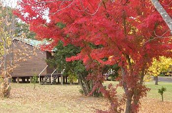 Madison's Mountain Retreat - Goulburn Accommodation 1