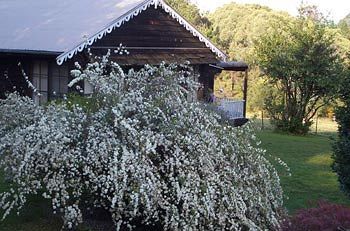 Madison's Mountain Retreat - Goulburn Accommodation 3