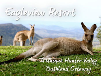 Eagleview Resort - Goulburn Accommodation 45