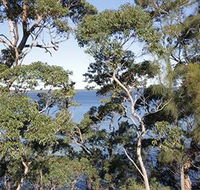 The Edgewater Bed amp Breakfast - Goulburn Accommodation