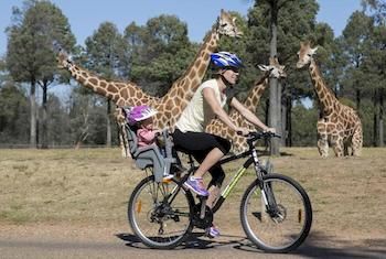 Zoofari Lodge, Taronga Western Plains Zoo - Goulburn Accommodation 7