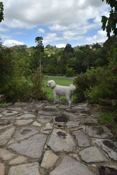 Coverdales B & B At Eumundi - Goulburn Accommodation 23
