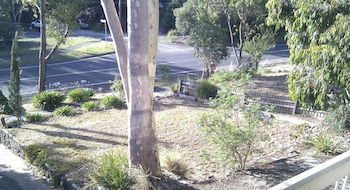 Eltham Retreat - Goulburn Accommodation 4