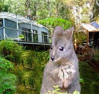 Huon Bush Retreats - Goulburn Accommodation