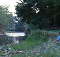 Gentle Annie Caravan and Camping Reserve - Goulburn Accommodation
