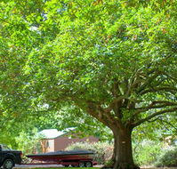 Lakes and Craters Holiday Park - Goulburn Accommodation