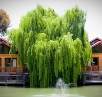 Perricoota Vines Retreat Echuca Moama - Goulburn Accommodation