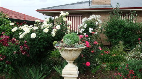 Admurraya House Bed And Breakfast - Goulburn Accommodation 5
