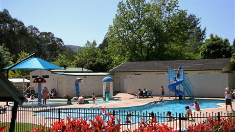 Porepunkah Pines Holiday Park - Goulburn Accommodation 0
