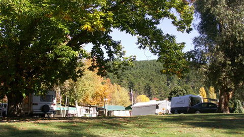 Porepunkah Pines Holiday Park - Goulburn Accommodation 5