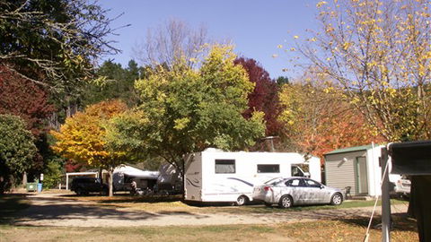 Porepunkah Pines Holiday Park - Goulburn Accommodation 6