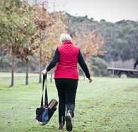 Black Cat Cottage - Goulburn Accommodation