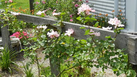 Willy's Holiday House - Goulburn Accommodation 4
