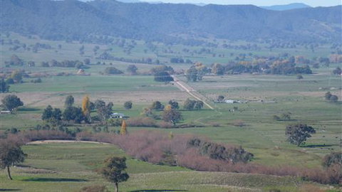 Willy's Holiday House - Goulburn Accommodation 5