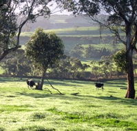 Bellevue Farmstay - Goulburn Accommodation