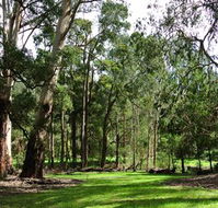Wildwood Retreat - Goulburn Accommodation