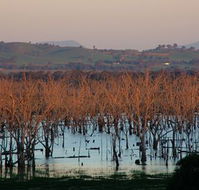 Salisbury - Goulburn Accommodation