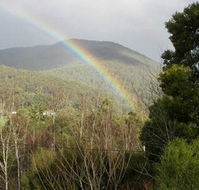 Wattletree Cottage - Goulburn Accommodation