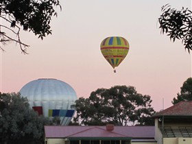 Barossa Valley Tourist Park - Goulburn Accommodation 0