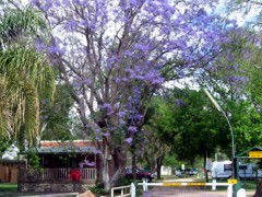 BIG4 Forbes Holiday Park - Goulburn Accommodation 3