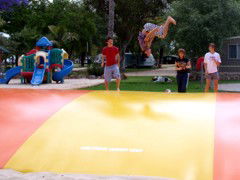 BIG4 Forbes Holiday Park - Goulburn Accommodation 4