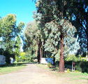 Cudal Caravan Park - Goulburn Accommodation
