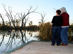 Kingston-On-Murray Caravan Park - Goulburn Accommodation 2
