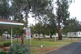 Pine Clump NSW Goulburn Accommodation