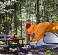 Bald Rock campground and picnic area - Goulburn Accommodation