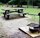 Bellbird campground - Goulburn Accommodation