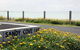 Sandy Cove - thumb 4