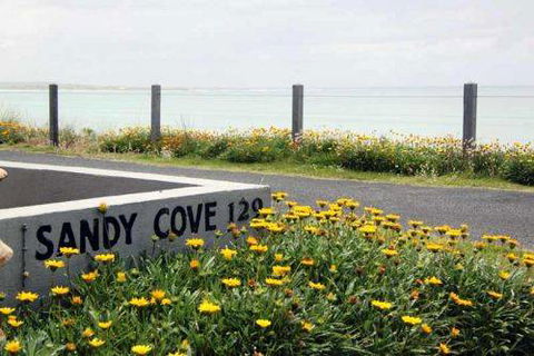 Sandy Cove - Goulburn Accommodation 4