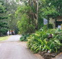 Tamborine Mountain Caravan  Camping - Goulburn Accommodation