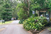 Tamborine Mountain Caravan & Camping - Goulburn Accommodation 0