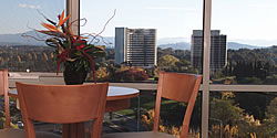 Waldorf Apartment Hotel Canberra - Goulburn Accommodation 5