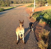 Bindoons Windmill Farm - Goulburn Accommodation