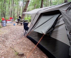 WA Wilderness Catered Camping At Big Brook Arboretum - Goulburn Accommodation 0