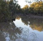 Four Mile Camping Reserve - Goulburn Accommodation